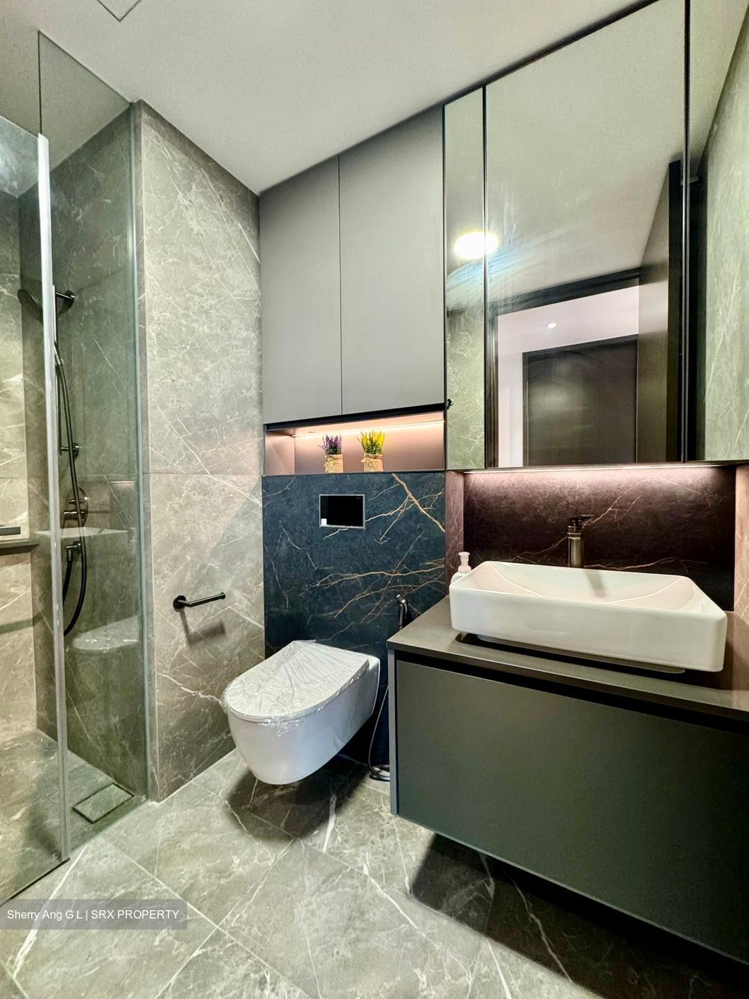 Irwell Hill Residences (D9), Apartment #451070881